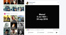 Galerie foto - poza 3