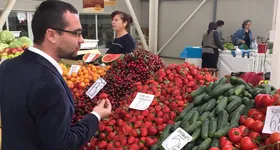 Galerie foto - poza 2