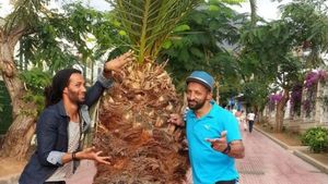 Kamara și-ar fi dorit să se dueleze cu Musty: "Sunt convins că l-aș fi învins"