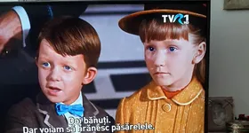 Galerie foto - poza 4