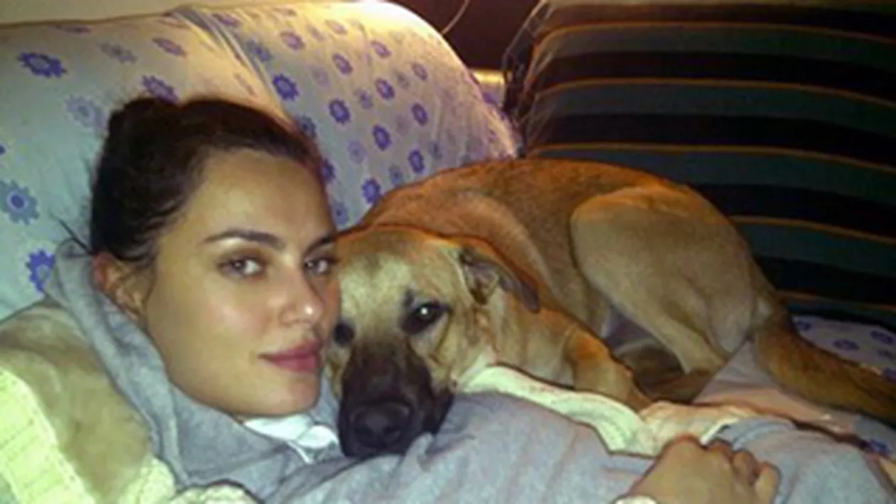 Dupa divortul de Massimo Brambati, Catrinel Menghia isi imparte patul cu altcineva! Pont: il iubeste enorm si are... patru picioare