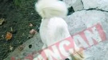 Microbista Iris, cea mai dragalasa catelusa a saptamanii