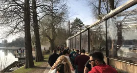 Galerie foto - poza 3