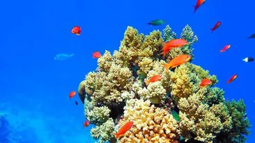 Revitalizeaza-te folosind trucurile vedetelor de la Hollywood