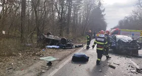 Galerie foto - poza 1