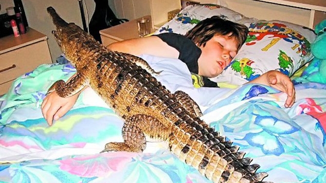 Tin trei crocodili in casa!