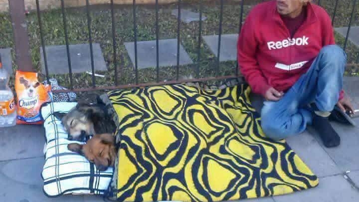 Impresionant. Cerşetorul care a uimit o lume întreagă! Pe cine are alături la “locul de muncă”