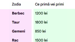 Ce primă de Crăciun vei primi, în funcție de zodia ta. Tabel complet | Nativii care vor încasa cei mai mulți bani