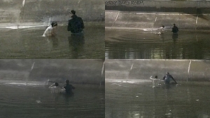 Doi oameni fără adăpost au fost salvați în ultima clipă din râul Dâmbovița, după ce au intrat în apă pentru a strânge PET-uri