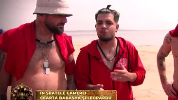 Câte clase și ce studii are, de fapt, Babasha de la Desafio. Adevărul despre manelistul luptător de la Pro TV