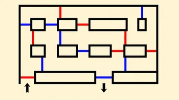 Test de inteligență | Rezolvați labirintul din această imagine! Nu puteți trece de 2 ori consecutiv prin aceeași culoare