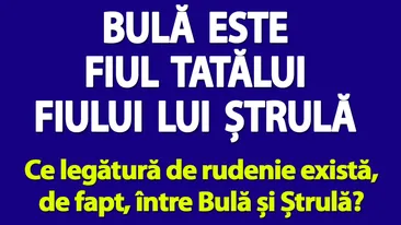 Test de logică | Bulă este fiul tatălui fiului lui Ștrulă. Ce legătură de rudenie există, de fapt, între Bulă și Ștrulă?