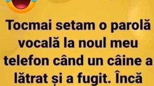 BANCUL ZILEI | Câinele și parola vocală