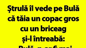 Bancul de duminică | Ștrulă îl vede pe Bulă că tăia un copac gros cu un briceag