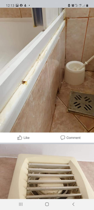 Turiști cazați în condiții extrem de mizere într-un hotel din Neptun „Mirosea puternic a pipi. I-am spus recepționerei și s-a inflamat”
