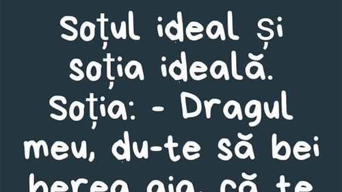 Bancul începutului de săptămână | Soțul ideal și soția ideală