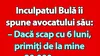 BANC | Bulă, avocatul și onorariul de 20.000 euro