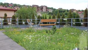 Acoperișuri verzi: Oaze urbane pentru un viitor sustenabil