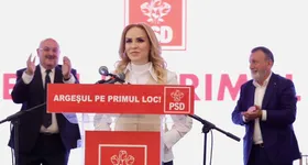 Galerie foto - poza 2