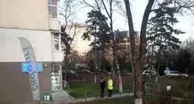 Galerie foto - poza 1