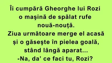 BANC | Cum folosește Rozi a lui Gheorghe mașina de spălat