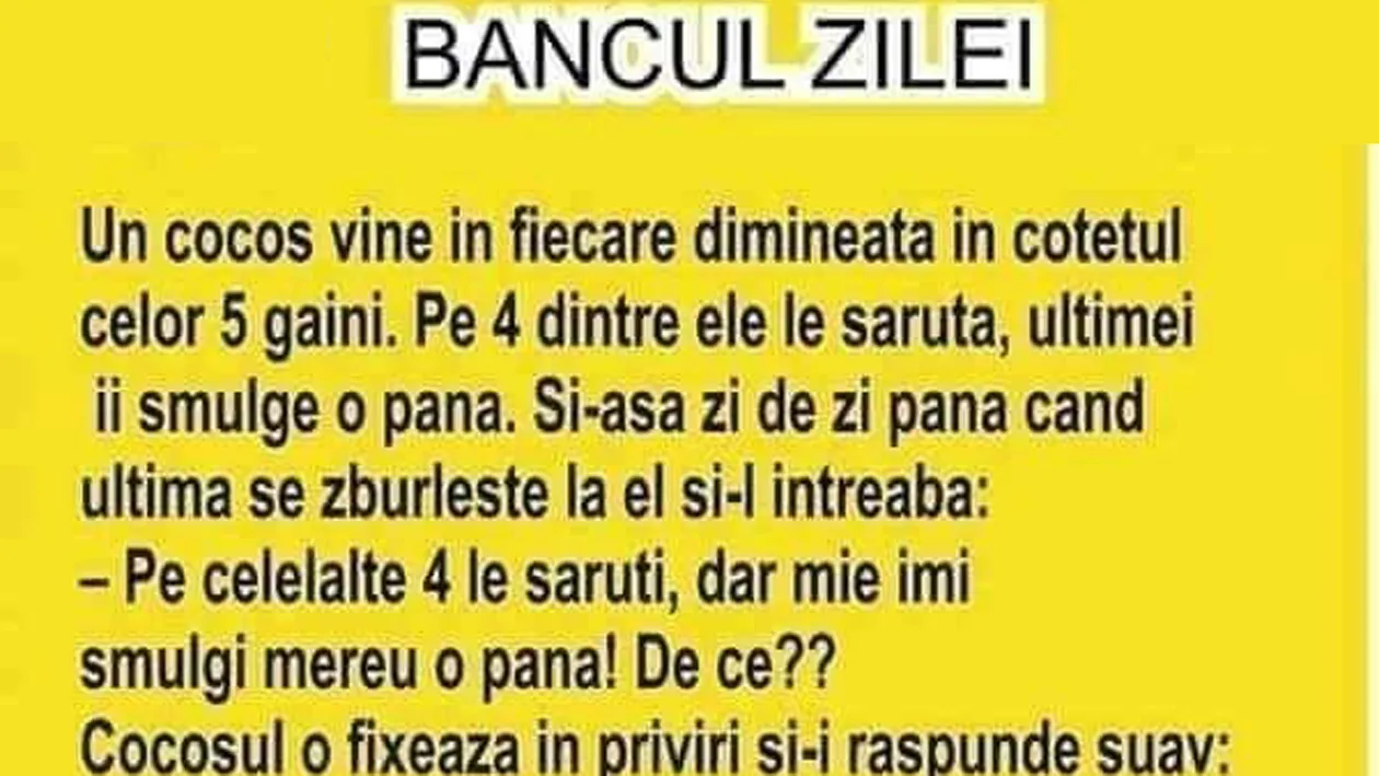 BANC | Cocoșul vine în fiecare dimineață în cotețul celor 5 găini. Pe primele 4 le sărută, ultimei îi smulge o pană