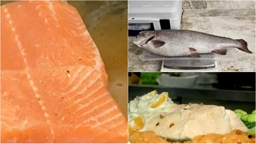 Noua specie de pește care face furori în România. Va costa 50-60 de lei per kilogram