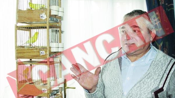 Are cei mai guralivi canari din Tara