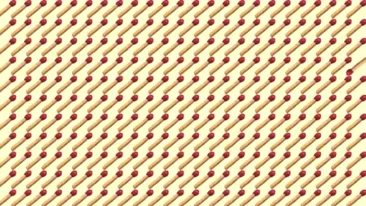 Test IQ pentru genii | Doar cei cu o minte sclipitoare descoperă bățul de chibrit diferit din imagine