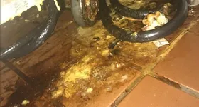 Galerie foto - poza 2