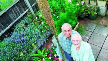 Cactusul le-a inflorit dupa 52 de ani