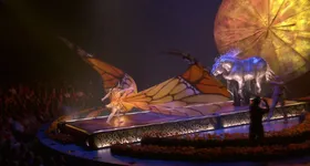 Galerie foto - poza 1