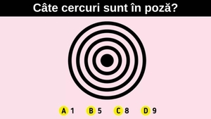 Test IQ | Numai geniile adevărate văd câte cercuri sunt în această poză, în doar 5 secunde!