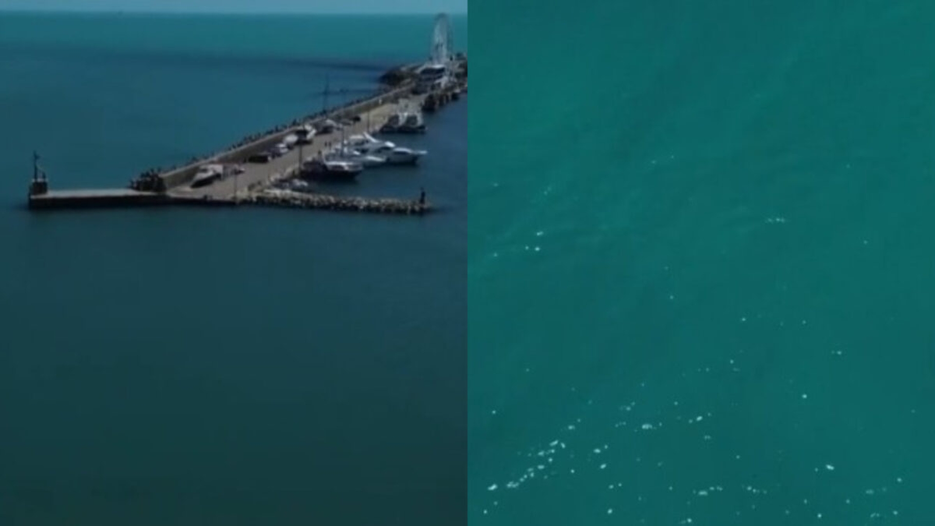 Fenomen rar pe litoralul românesc! De ce a devenit Marea Neagră albastru-turcoaz
