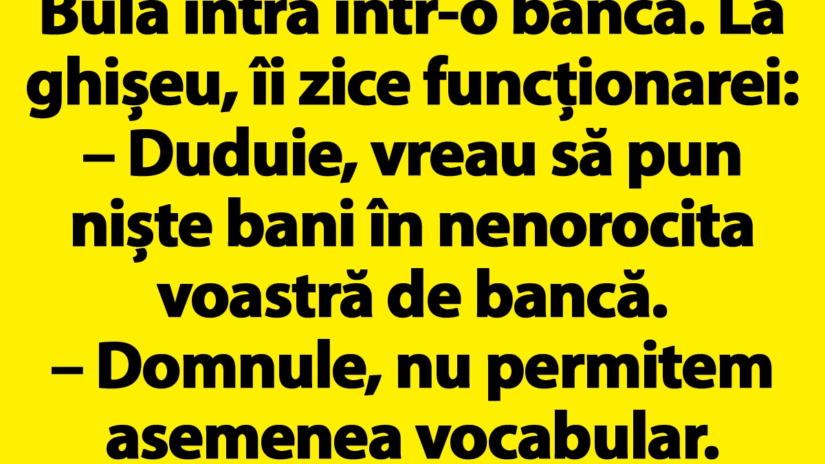 BANC | Bulă intră într-o bancă: "Duduie, vreau să pun niște bani în nenorocita voastră de bancă"