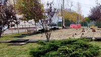 Cea mai ciudată bancă din România se află într-un parc din Ilfov. Nu poți să stai pe ea, dar ești bine păzit. Imaginea anului