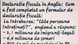 Bancul de weekend | Cum completează englezii declarațiile fiscale