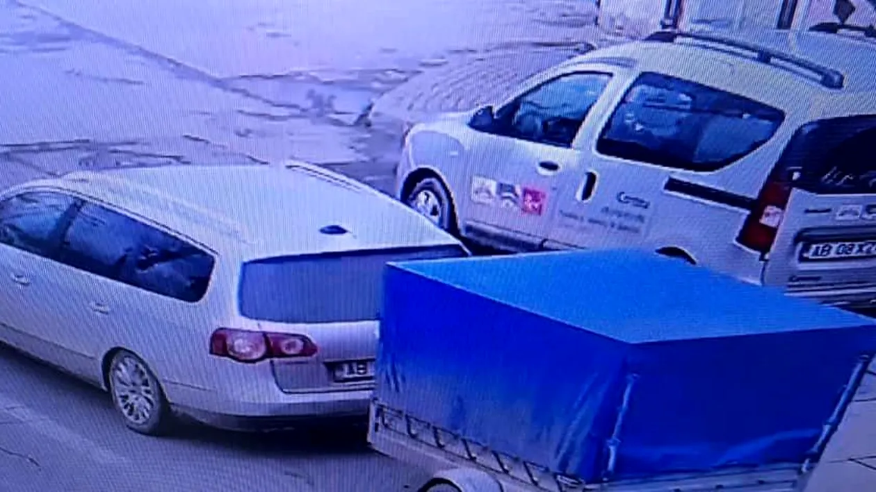 Intervenție de salvare neobișnuită a polițiștilor din Sebeș. Un porc evadat dintr-o remorcă, în trafic, a fost returnat stăpânului