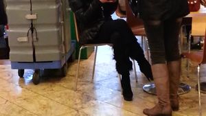 Silueta subtire cu abstinenta se tine! Simona Dichiseanu inghite in sec si merge mai departe! Vezi la ce pofteste blonda!