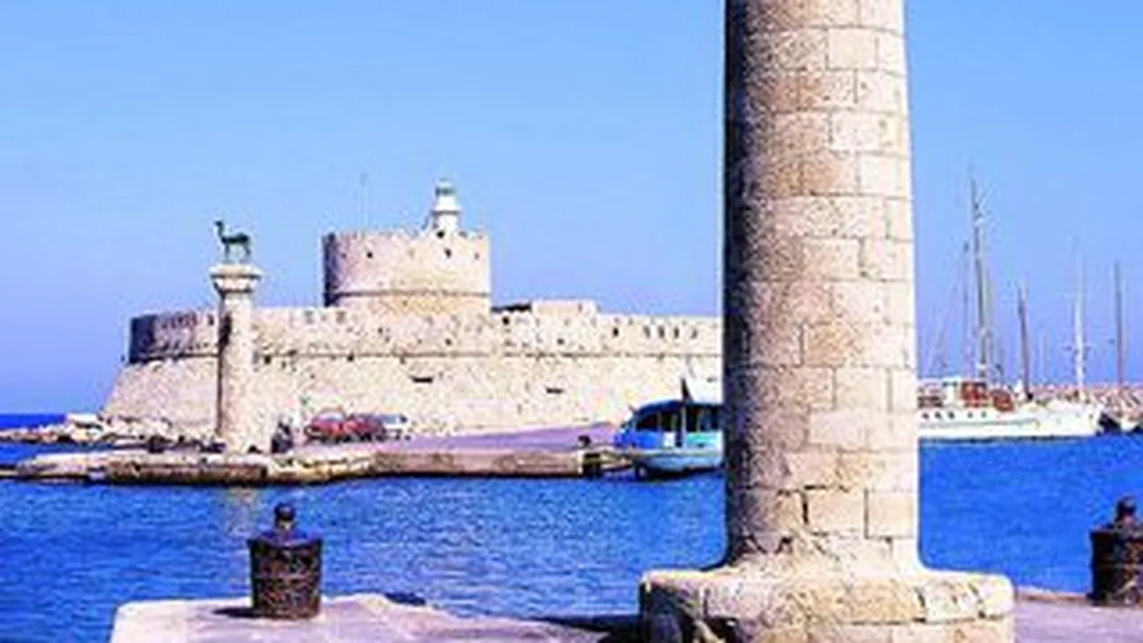 Vacante de vara la preturi reduse