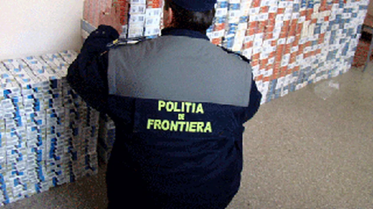 Politia de frontiera din Giurgiu a descoperit 176.000 de pachete cu tigari de contrabanda!