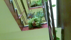 O femeie a murit dupa ce a cazut intre scarile unui bloc din cartierul bucurestean Pantelimon