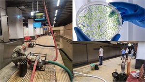Legionella la Metrorex. Cum se manifestă infecția cu această bacterie