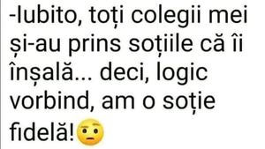 BANC | "Iubito, toți colegii și-au prins soțiile că îi înșală. Deci, logic vorbind, am o soție fidelă"