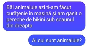 Bancul sfârşitului de săptămână | "Băi, animalule, azi ţi-am făcut curat în maşină"
