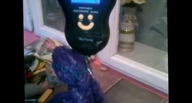 Galerie foto - poza 4