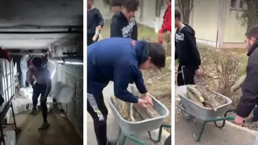 Imagini revoltătoare la Constanța. Elevi puși la muncă silnică de propria școală, ce au fost nevoiți să facă