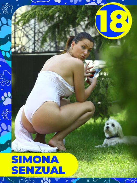 Top 25 vedete care și-au etalat costumele de baie, dar cățeii lor au făcut senzaţie! Delia, Bianca Drăgușanu sau Lora, eclipsate de patrupezi la malul mării