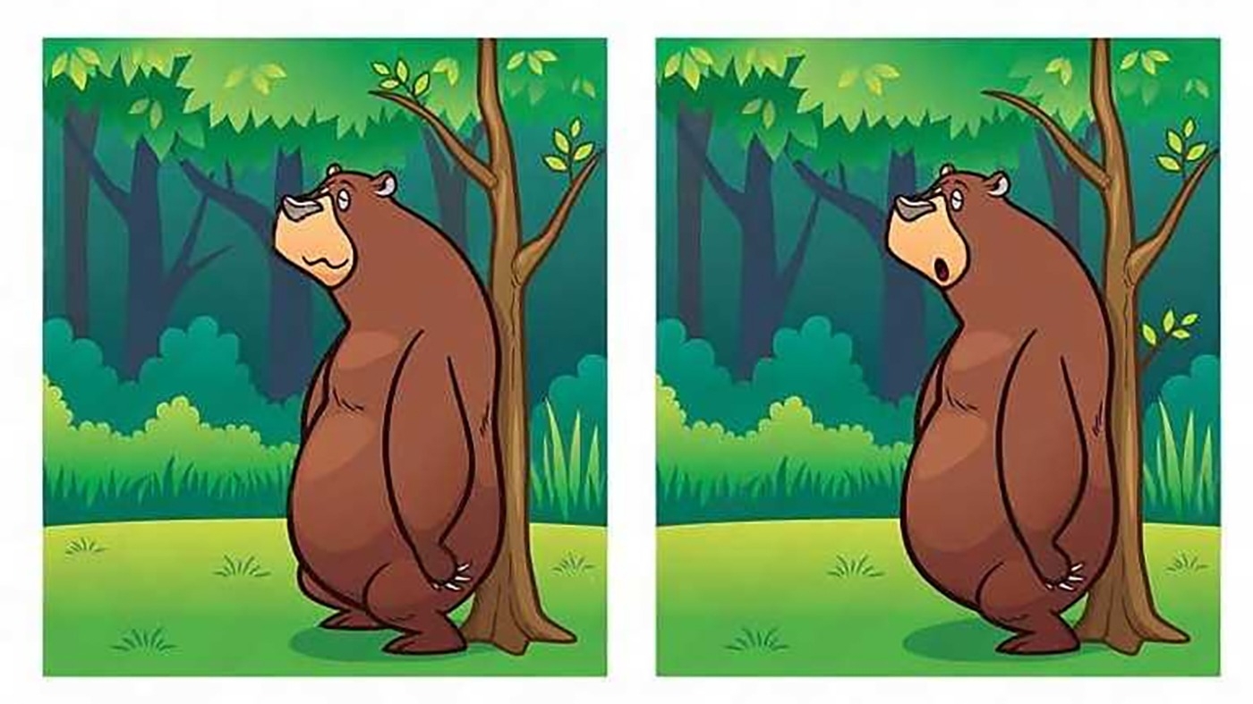 Test de logică | Există 6 diferențe între aceste două poze. Identificați-le în cel mult 18 secunde!
