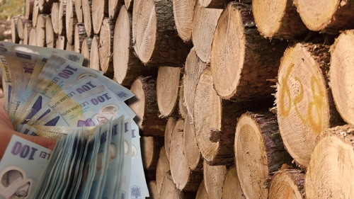 Cât costă metrul cub de lemne în 2023! Prețul uriaș a stârnit revolta românilor. „Este foarte scump!”